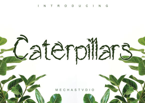 Caterpillars: A Fun & Modern Display Font for Bold Brand Identities
