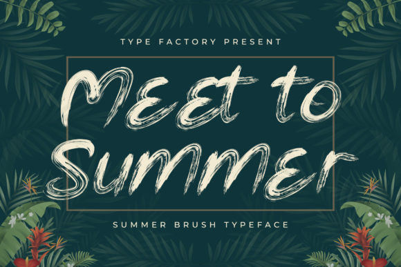 Meet to Summer Font: Adding Warmth to Web Layouts