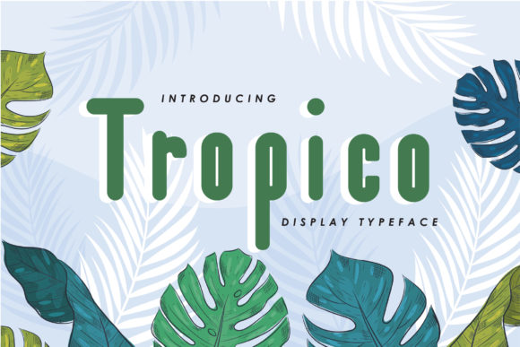 Tropico Font Review: A Paint Brushed Display Typeface for Organic Branding